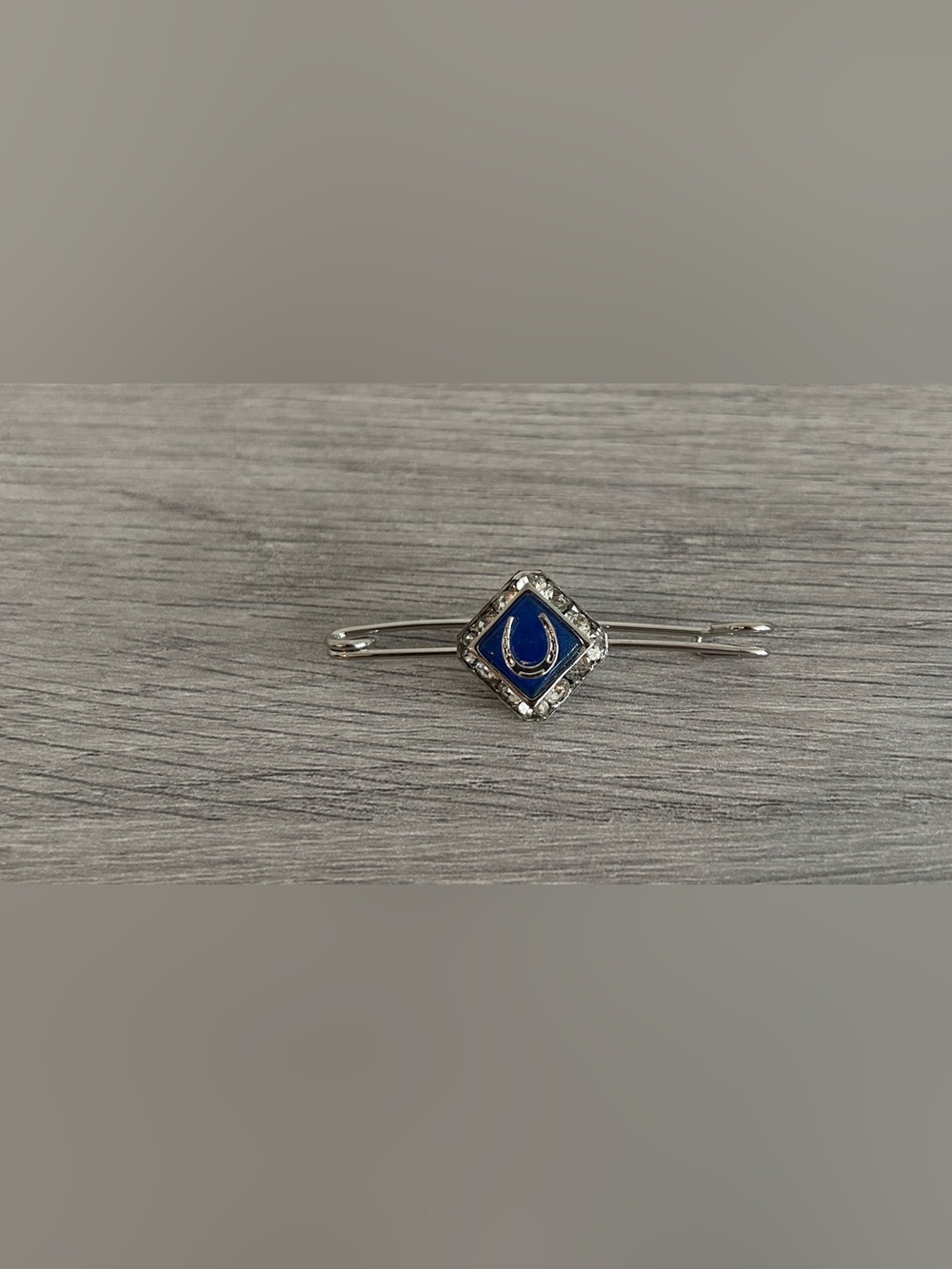 VTG Equestrian Horseshoe Stock Pin Rhinestone Blue Enamel Accent Safety Brooch